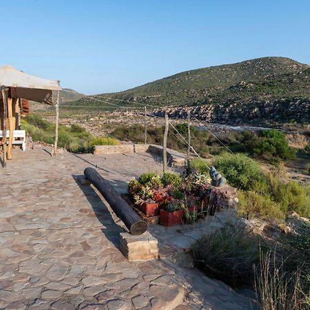 Oudrif Farm Villa Clanwilliam Kültér fotó
