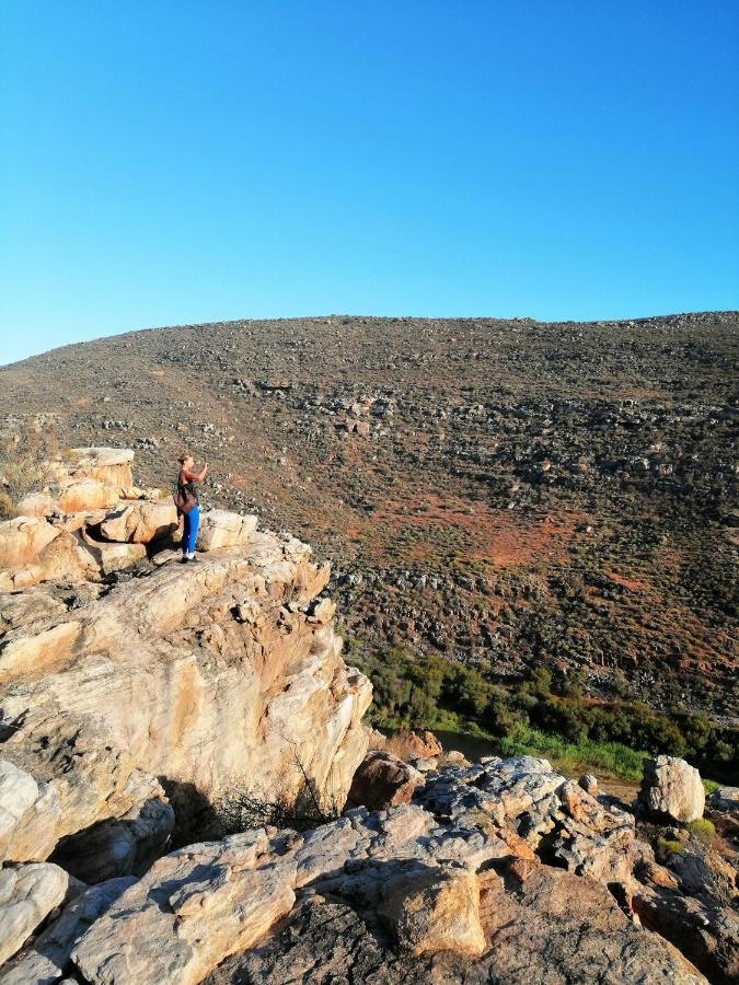 Oudrif Farm Villa Clanwilliam Kültér fotó
