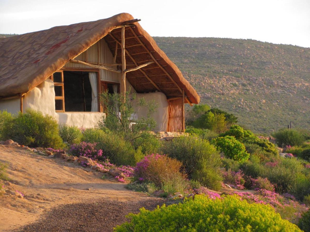 Oudrif Farm Villa Clanwilliam Kültér fotó