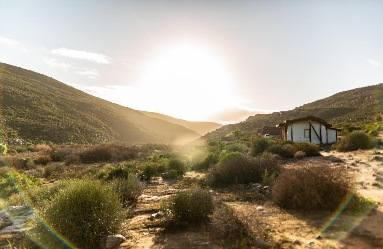 Oudrif Farm Villa Clanwilliam Kültér fotó