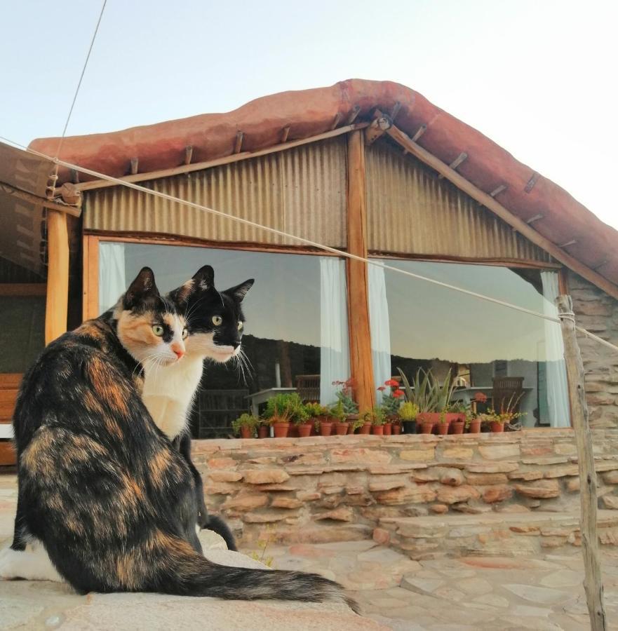 Oudrif Farm Villa Clanwilliam Kültér fotó