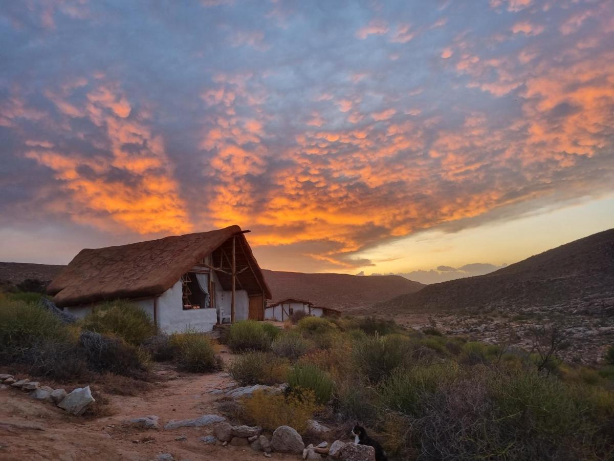 Oudrif Farm Villa Clanwilliam Kültér fotó